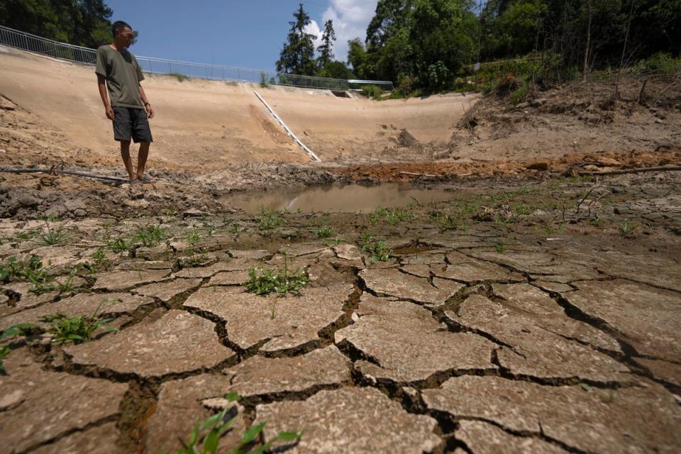 Gan Bingdong stands in the basin of a community reservoir near his farm in Longquan village (Copyright 2022 The Associated Press. All rights reserved)