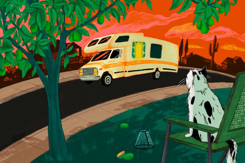 An illustration of a cat, RV, and a guava tree during sunset.