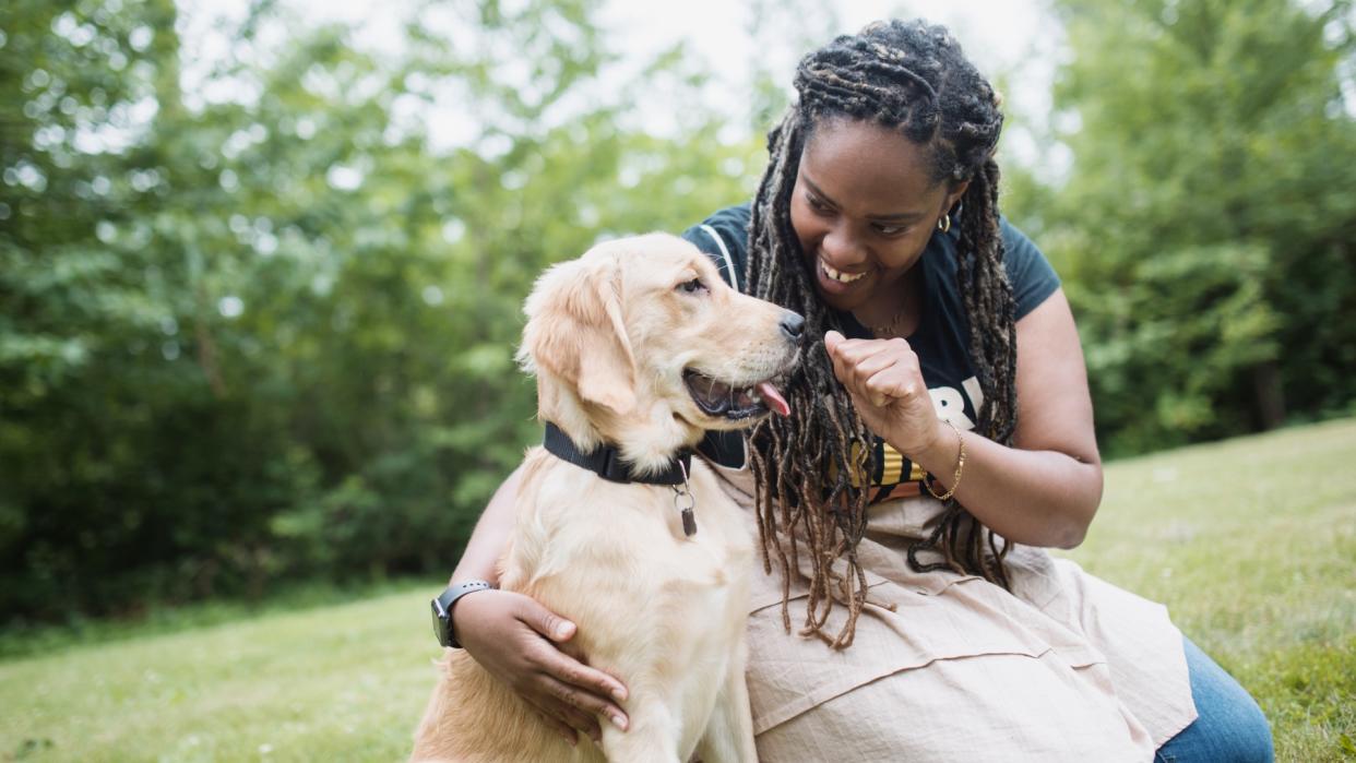 a smiling woman trains her golden retriever in park