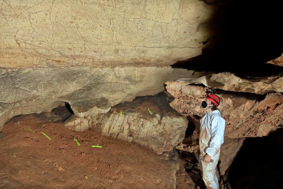 Mud Glyphs in main passage of “first Unnamed Cave” in Tennessee (Credit: Alan Cressler)