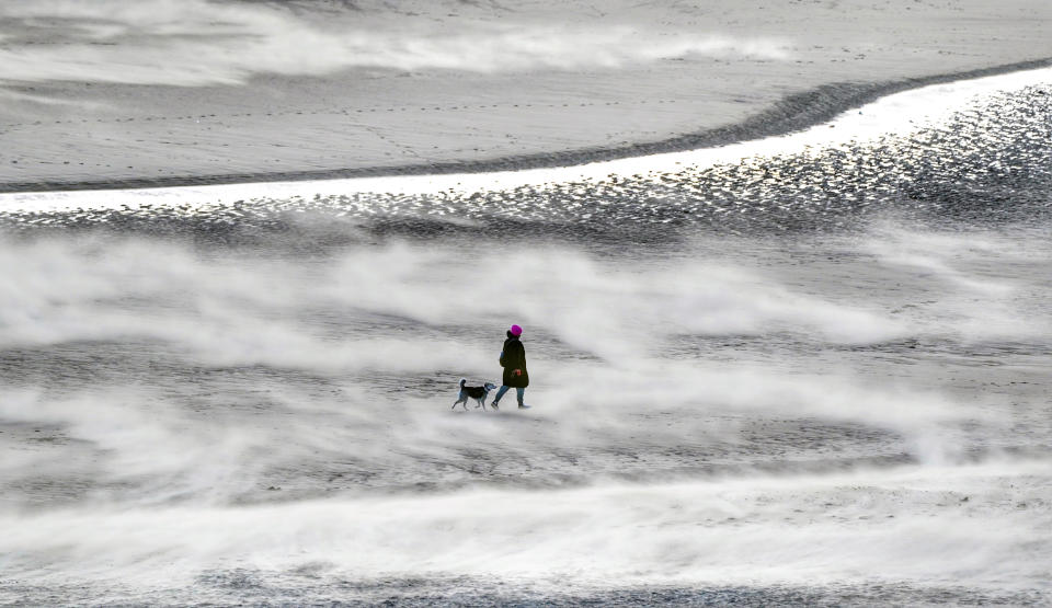 A person walking a dog on Tynemouth beach on the north-east coast on Friday as Storm Otto hits. (PA)