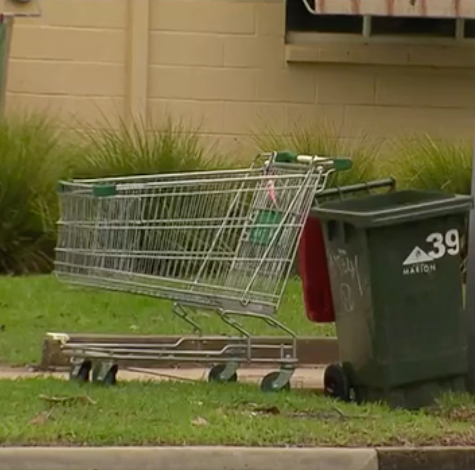 People caught dumping trolleys could be slapped with a $5000 fine. Source: 7 News