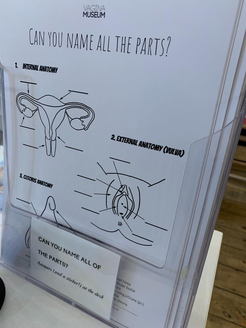 Visitors are invited to fill in a vagina anatomy quiz.