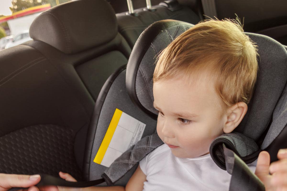 RESPONSIBILITY: It is the driver's responsibility to make sure passengers under 14 wear a seatbelt <i>(Image: Getty Images)</i>