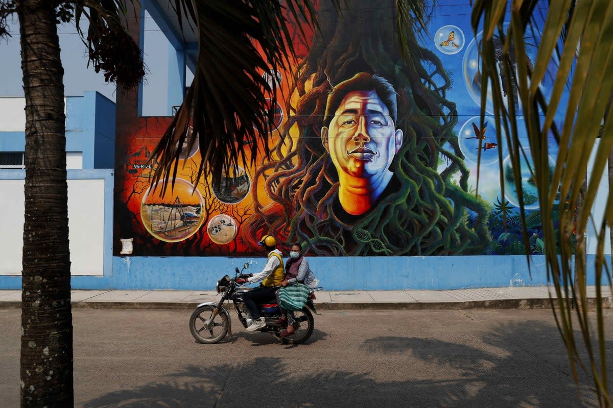 A mural of environmental defender Roberto Pacheco assassinated in 2020 while guarding his land, in Puerto Maldonado, Peru (EPA)