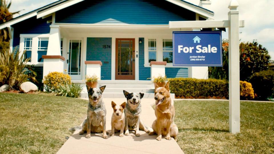 A new Zillow ad produced by Ryan Reynold's company Maximum Effort references an emotional episode of "Bluey" in which the Heelers are considering a big move.