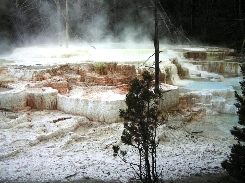 Travertine ledges at Mammoth Hot Springs in Yellowstone National Park in Wyoming. Terraced pools form due to deposition of travertine from the hot spring fluids as they cool and release carbon dioxide. <a href="https://d9-wret.s3.us-west-2.amazonaws.com/assets/palladium/production/s3fs-public/thumbnails/image/P7190038.JPG" rel="nofollow noopener" target="_blank" data-ylk="slk:USGS;elm:context_link;itc:0;sec:content-canvas" class="link ">USGS</a>