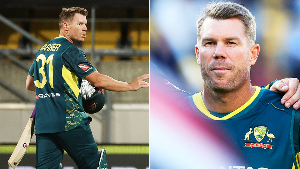 David Warner waves to the crowd and Warner lines-up for the national anthem.