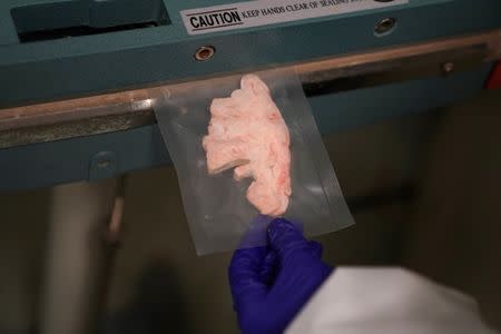 A worker reseals a package that contains a piece from a human brain slice at a brain bank in the Bronx borough of New York City, New York, U.S. June 28, 2017. REUTERS/Carlo Allegri