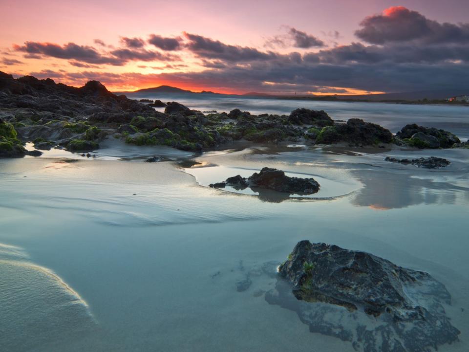 The Galapagos Islands