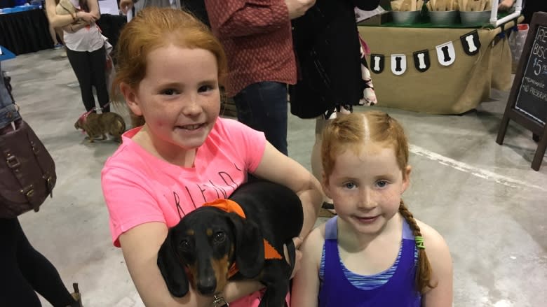 Ready, set, go! Wiener dog races a highlight at N.L. Pet Expo