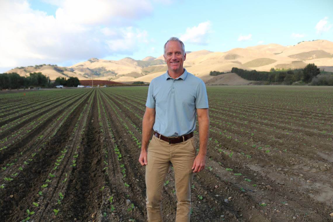 Ryan Talley of Talley Farms stands among growing napa cabbage in a field near Arroyo Grande, California, on Nov. 30, 2023.