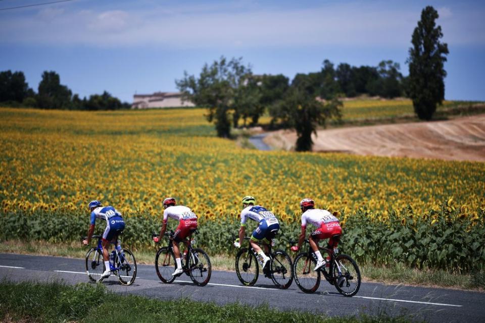 Tour de France 2019 : les plus belles photos de la Grande Boucle (J-11)