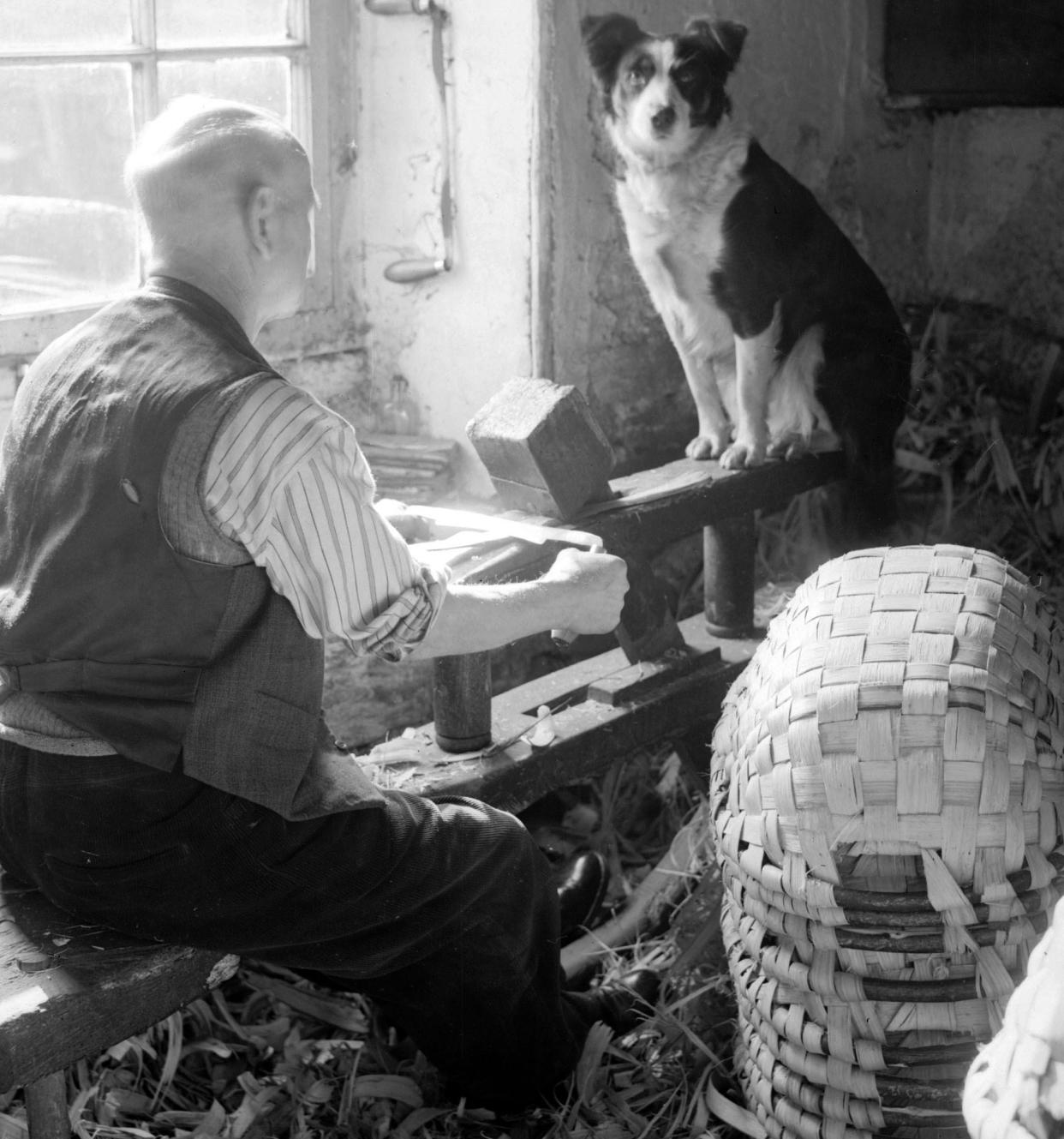https://www.gettyimages.co.uk/detail/news-photo/basket-making-in-the-lake-district-a-collie-dog-sits-on-his-news-photo/1450420143?adppopup=true