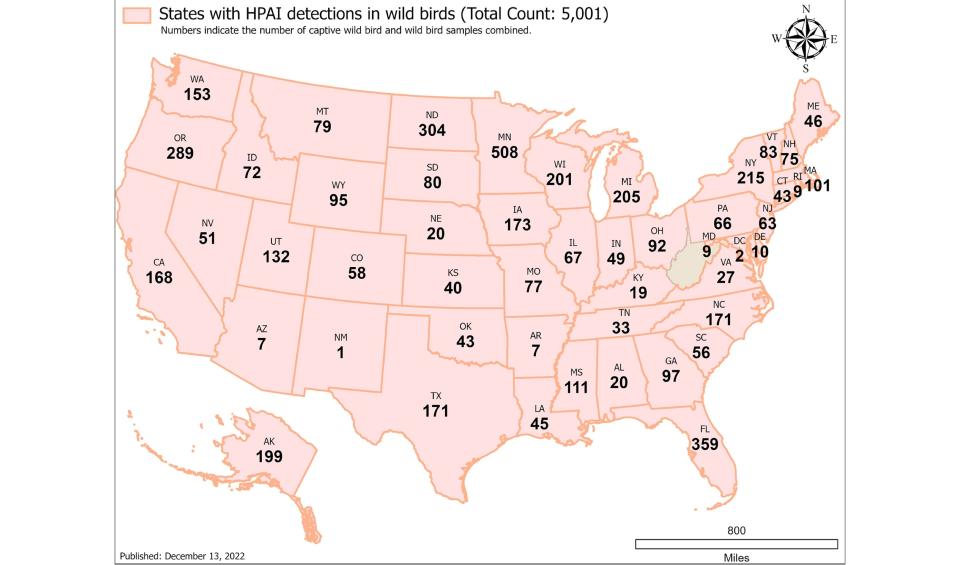 A map shows detections as of Dec. 13, 2022 of highly pathogenic avian influenza, or HPAI, in wild birds in the U.S.