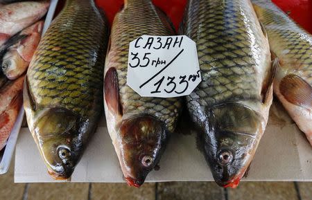 A tag showing the price of fish in Ukrainian hryvnia (top) and Russian roubles is seen on display at a market in the Crimean city of Simferopol, in this March 26, 2014 file photo. REUTERS/Shamil Zhumatov/Files