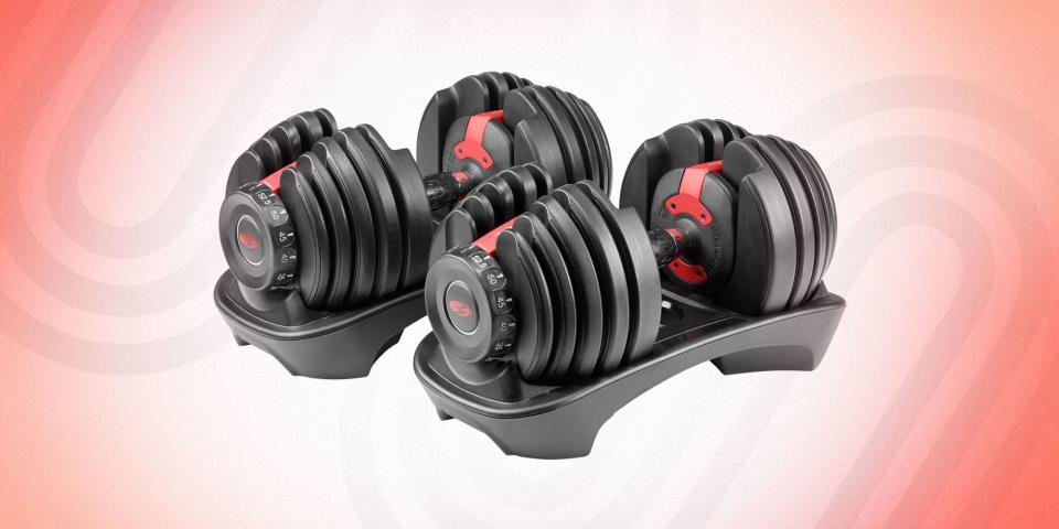 The Best Adjustable Dumbbells For Home Workouts