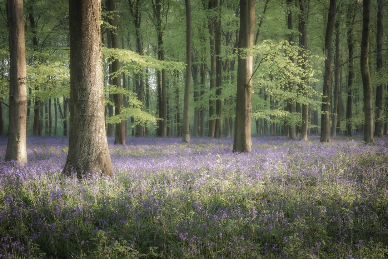 Prize-winning photo ‘My Tranquil Haven’ by Jamie Fielding (Jamie Fielding/PA)