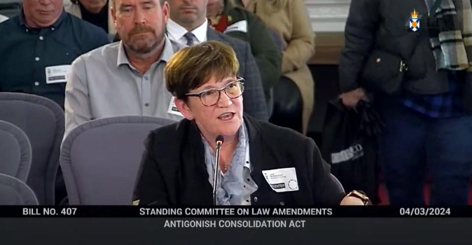 Town of Antigonish Mayor Laurie Boucher speaking to the standing committee on law amendments at the Nova Scotia legislature in Halifax on Monday. (Nova Scotia Legislature/YouTube - image credit)