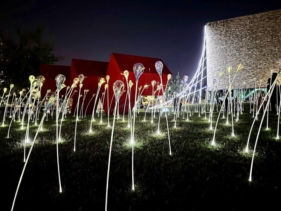 光影作品〈植光· 花〉現場實景照。(圖/由鉅建設提供)