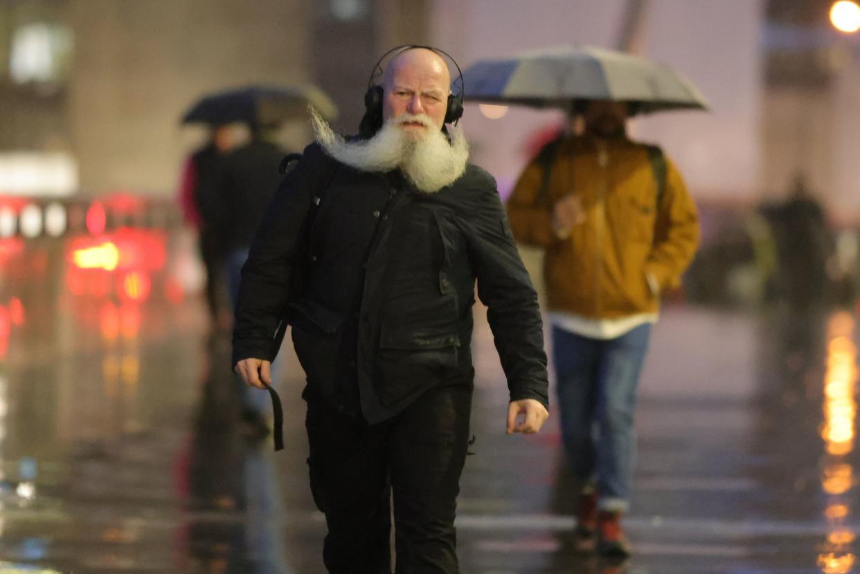 A commuter's beard is caught by a gust of wind as they cross London Bridge (George Cracknell Wright)