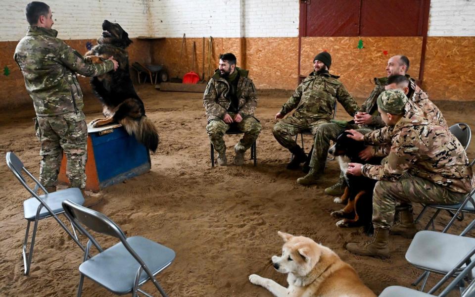 Ukrainian servicemen play with dogs during a hippotherapy session in Kyiv - SERGEI SUPINSKY/AFP