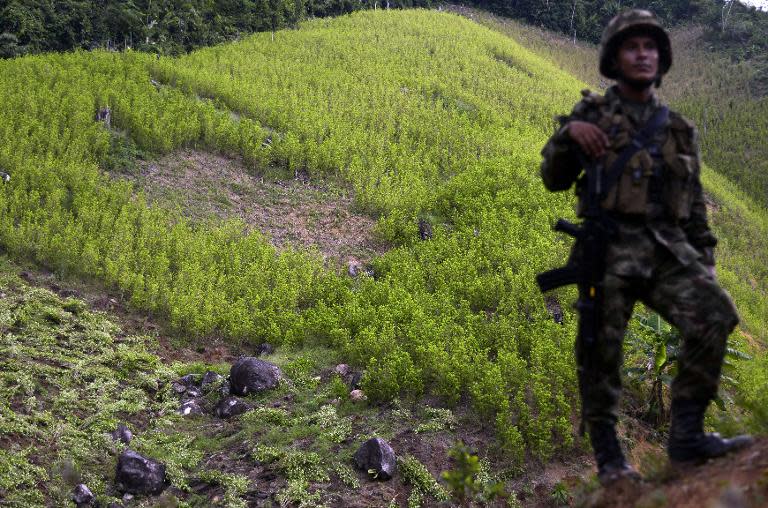 A Colombian soldier provides security to a group of peasants working in the eradication of coca plantations in the mountains of Yali municipality, northeast of Medellin, Antioquia department, on September 3, 2014