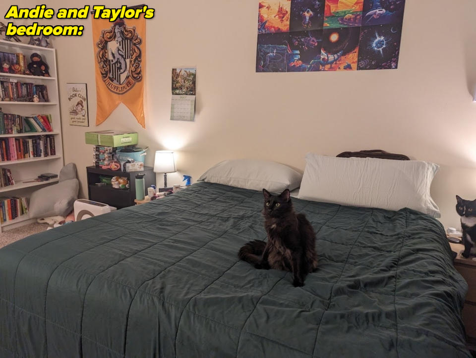 A black cat sits on a neatly made bed in a cozy bedroom with a bookshelf, wall posters, and various personal items