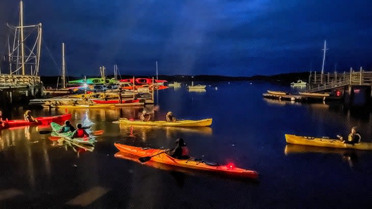 <span class="article__caption">See a bioluminescent bay in Castine Harbor in Maine.</span> (Photo: Karen Francoeur/Castine Kayak Adventures)