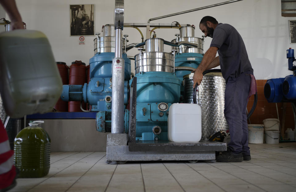 Flamour Metaj, a worker from Albania, fills a tank with olive at an olive mill in Spata suburb, east of Athens, Greece, Monday, Oct. 23, 2023. Across the Mediterranean, warm winters, massive floods, and forest fires are hurting a tradition that has thrived for centuries. Olive oil production has been hammered by the effects of climate change, causing a surge in prices for southern Europe's healthy staple. (AP Photo/Thanassis Stavrakis)