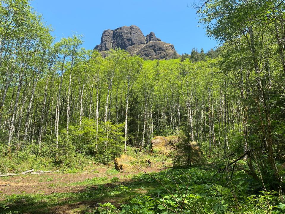 The view of Saddle Mountain from the new day use picnic area near the trailhead.