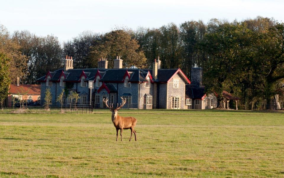 top 50 small lovely uk hotels less under affordable night rate england britain 2022 Gunton Arms Norfolk