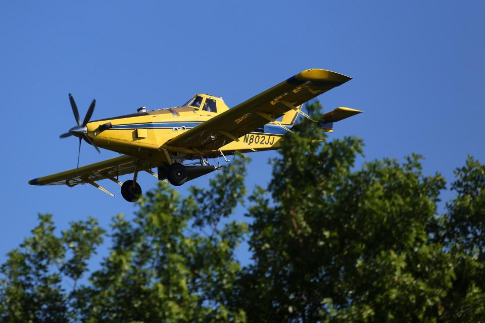 Flying as low as 300 feet, a single-engine agriculture aircraft, contracted by the Indian River Mosquito Control District, dumps a larvicide payload over Indian River Land Trust's nature preserve Bee Gum Point, Monday, July 11, 2022 in Indian River Shores. The 111-acre nature preserve, located on the northern end of the barrier island, is an important home for migratory birds, waterfowl and young fish. The  yellow model 802 plane, owned by Thomas R. Summersill, Inc., plays an important role in public health and keeping the mosquito populations down by concentrating on the salt marsh mosquitos who lay their eggs around the Indian River Lagoon.