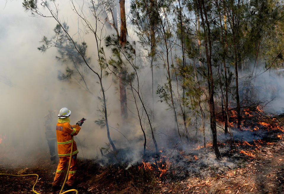 Pictured are NSW Rural firefighters establishing a backburn in Mangrove Mountain, NSW, on Sunday. Source: AAP