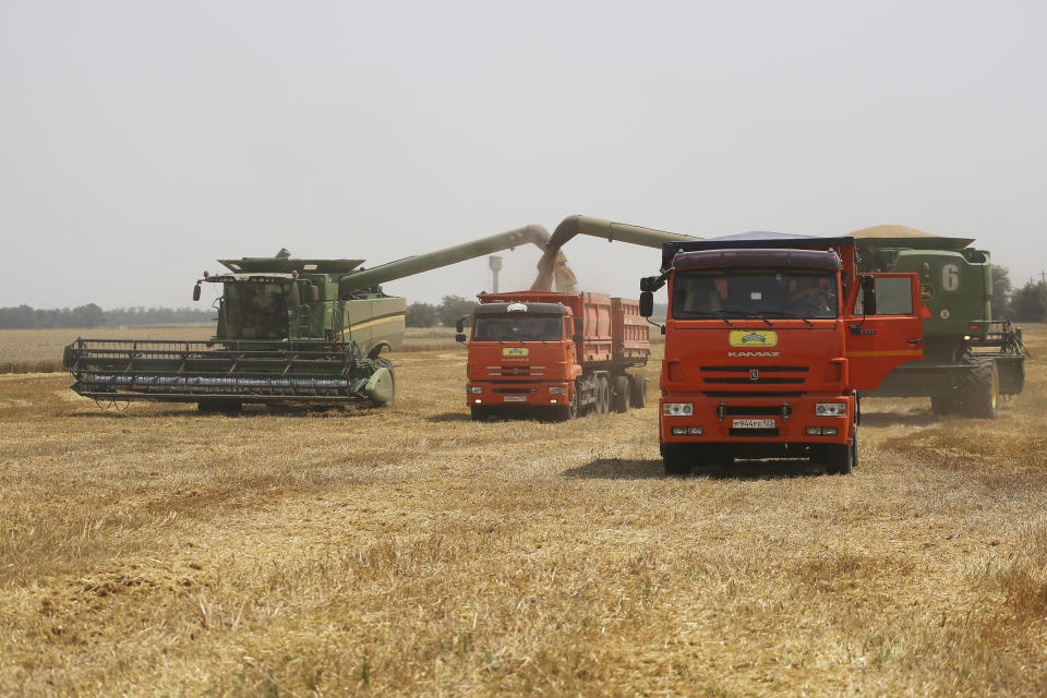 FILE - Farmers harvest with their combines in a wheat field near the village Tbilisskaya, Russia, July 21, 2021. China is the only friend that might help Russia blunt the impact of economic sanctions over its invasion of Ukraine, but President Xi Jinping’s government is giving no sign it might be willing to risk its own access to U.S. and European markets by doing too much. (AP Photo/Vitaly Timkiv, File)