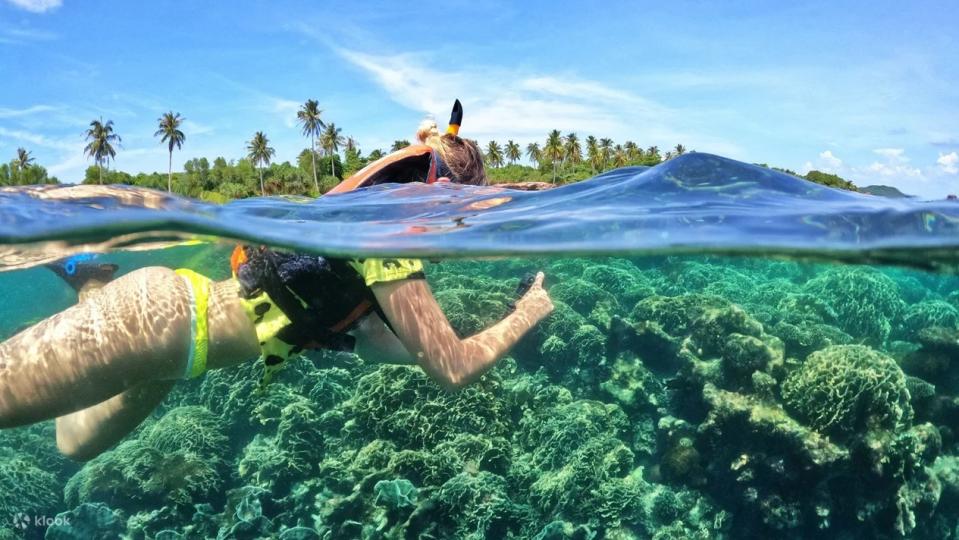 Phu Quoc Snorkelling Day Tour for Small-Group by Speedboat: Explore Phu Quoc Coral Mountain & Half-moon Reef. (Photo: Klook SG)