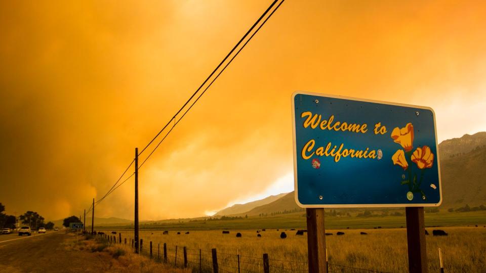 Die Waldbrandsaison im Westen Nordamerikas wird voraussichtlich noch Monate dauern, und schon jetzt wüten die Flammen auf ungewöhnlich großen Flächen.