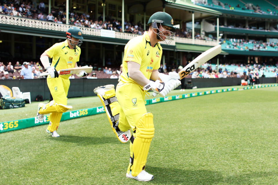 David Warner, pictured here in action for Australia in the second ODI against England.