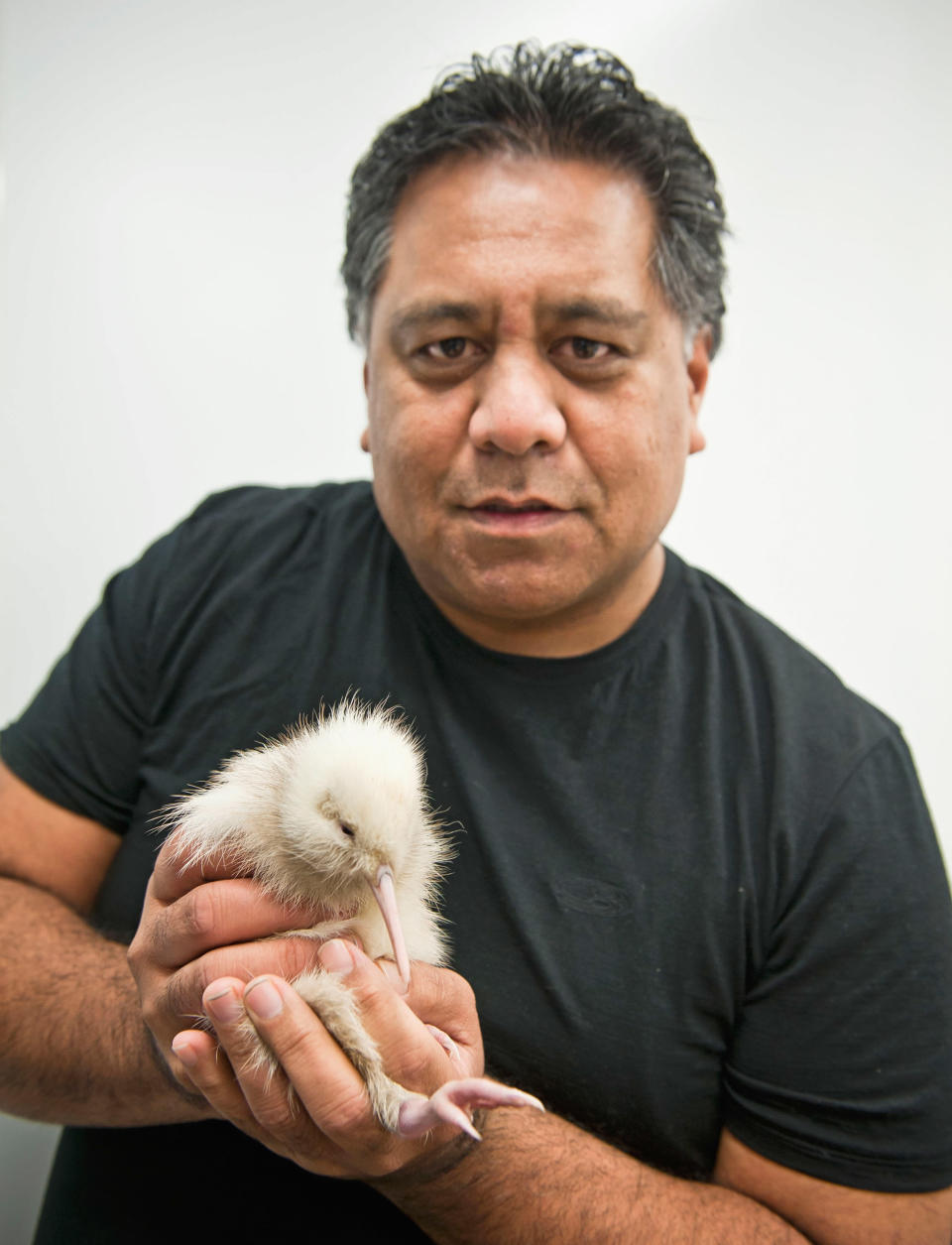 Rare Kiwi Chick Born In Wildlife Centre