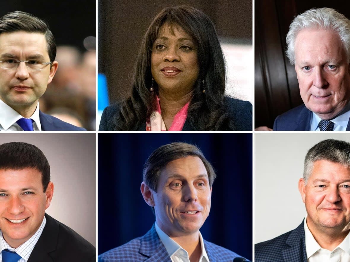 Composite illustration featuring Conservative leadership candidates, top row left to right, Pierre Poilievre, Leslyn Lewis, Jean Charest, and bottom row left to right, Roman Baber, Patrick Brown and Scott Aitchison. (Blair Gable/Reuters; Frank Gunn/The Canadian Press; Justin Tang/The Canadian Press; The Canadian Press; Chris Young/The Canadian Press;Scott Aitchison - image credit)