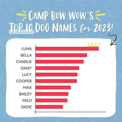 Bow Wow Pet Names: Perfect Dog Name or Cat Name for your new Pet