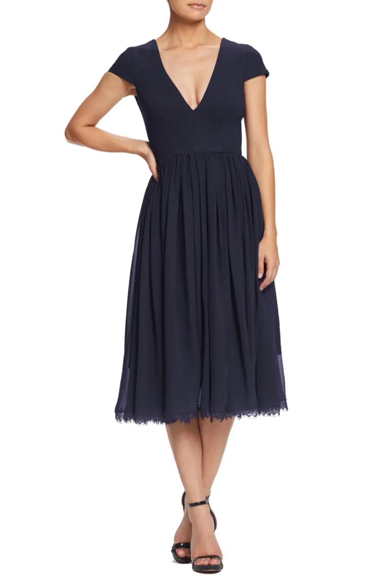 Dress the Population Corey Chiffon Fit & Flare Cocktail Dress