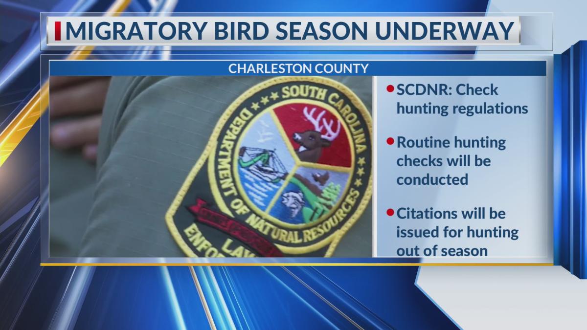 SCDNR Citations issued as Migratory Bird Season commences