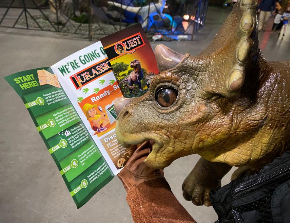 Trixie, a baby triceratops, is among the dinosaurs Jurassic Quest guests will meet at Resch Expo.