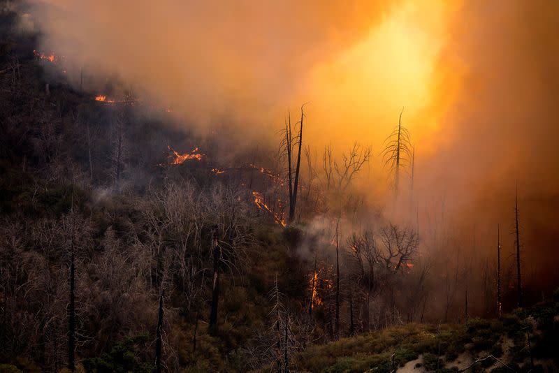 FILE PHOTO: A wildfire burns in the Angeles National Forest during the Bobcat Fire in Los Angeles