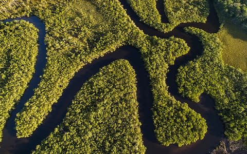 The Amazon in Brazil - Credit: Getty