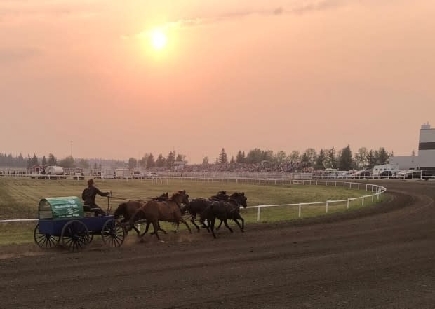 Wagons at Westerner is held from July 23-25 2021. An accident during the final heat of Saturday's event resulted in a horse being put down. (Westerner Days Fair & Exposition/Facebook - image credit)