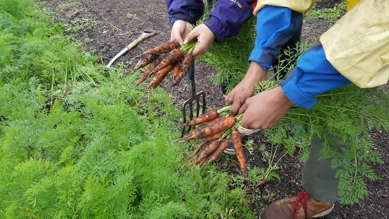 Vancouver map helps hungry people find healthy, low-cost food