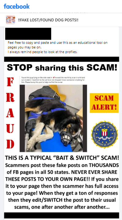Beware of dog scams on Facebook and other social media