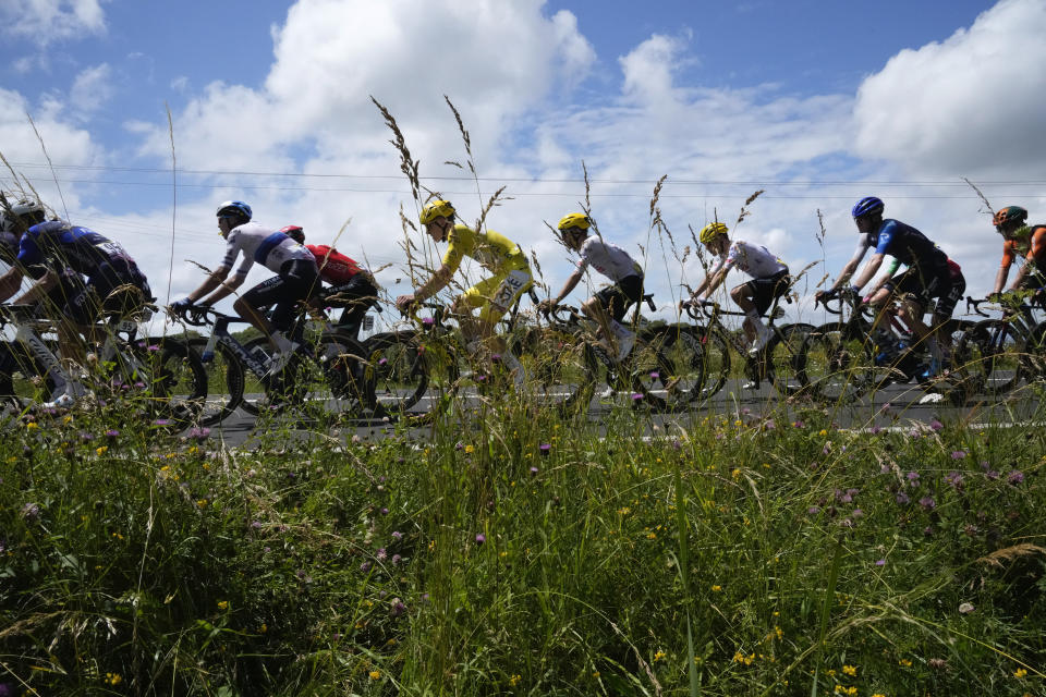 The pack with Slovenia's Tadej Pogacar, wearing the overall leader's yellow jersey, rides during the eleventh stage of the Tour de France cycling race over 211 kilometers (131.1 miles) with start in Evaux-les-Bains and finish in Le Lorian, France, Wednesday, July 10, 2024. (AP Photo/Jerome Delay)